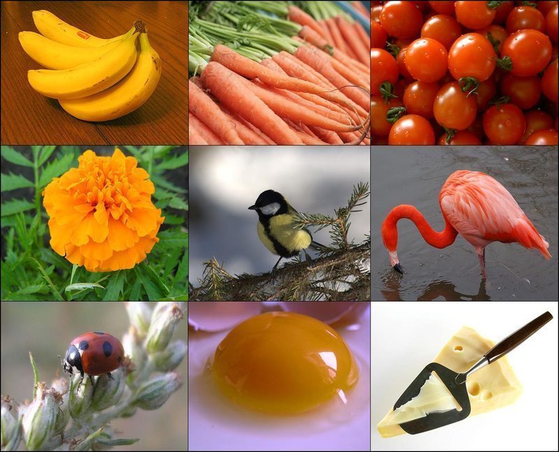 Carotenoides retinales elevan colesterol HDL en embarazadas