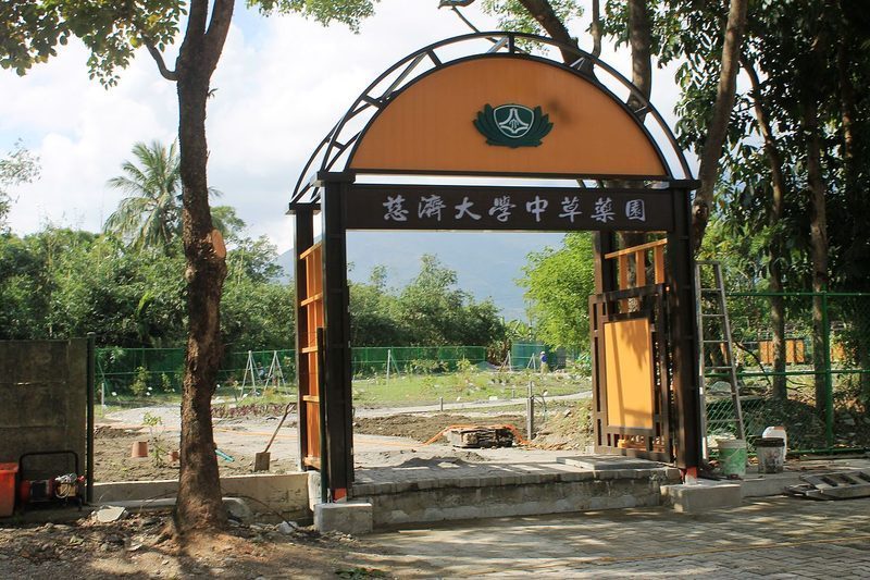 Fitoterapia y síndrome metabólico: evidencia aún limitada