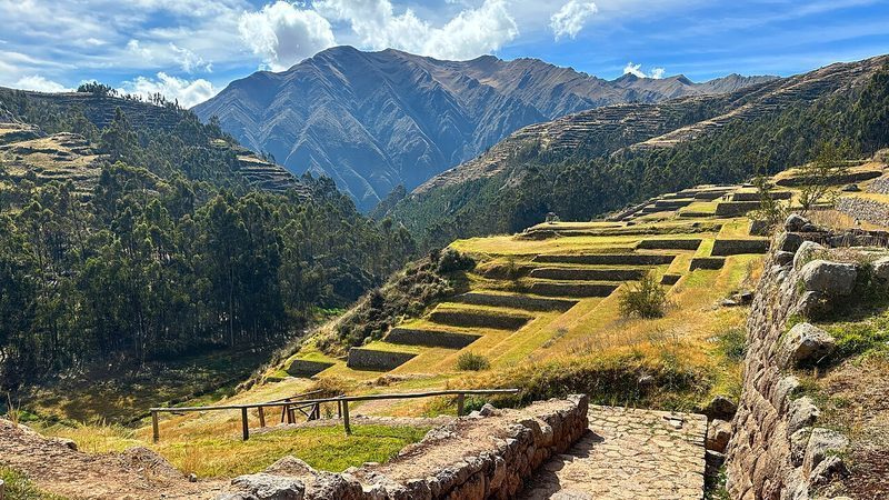 Composición de aminoácidos en granos andinos