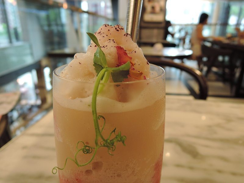 Frutos de açaí (Euterpe oleracea) y camu camu