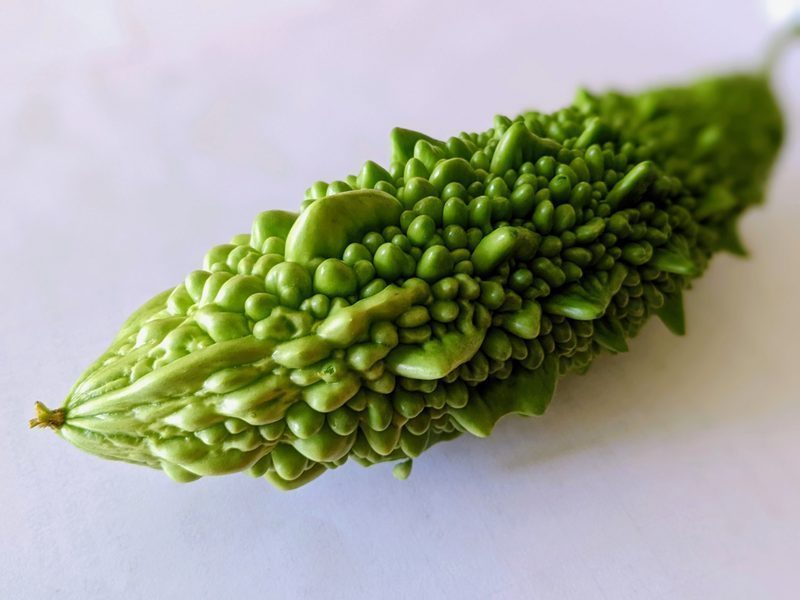 Fruto de Momordica charantia (melón amargo)